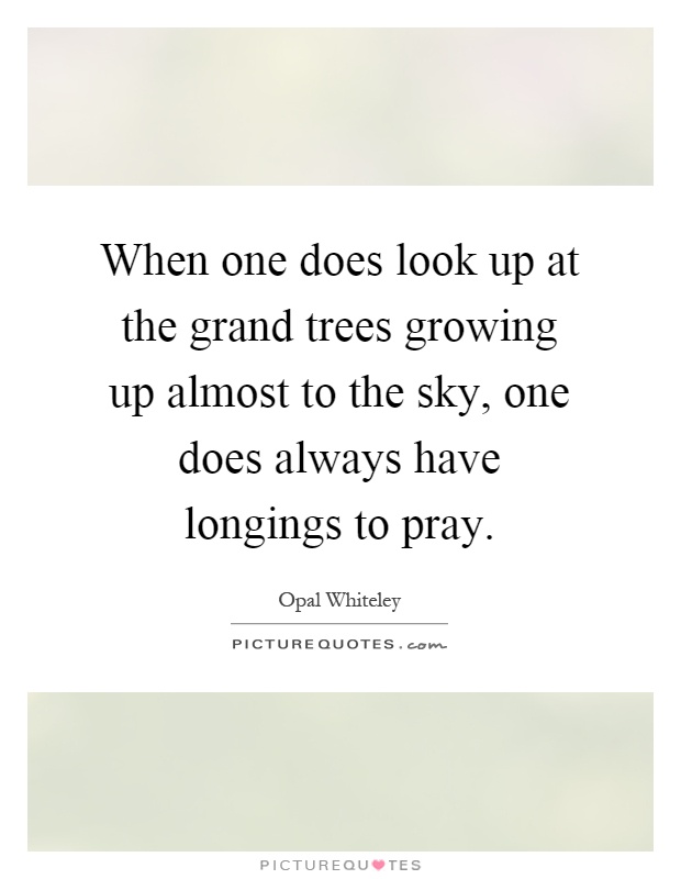When one does look up at the grand trees growing up almost to the sky, one does always have longings to pray Picture Quote #1