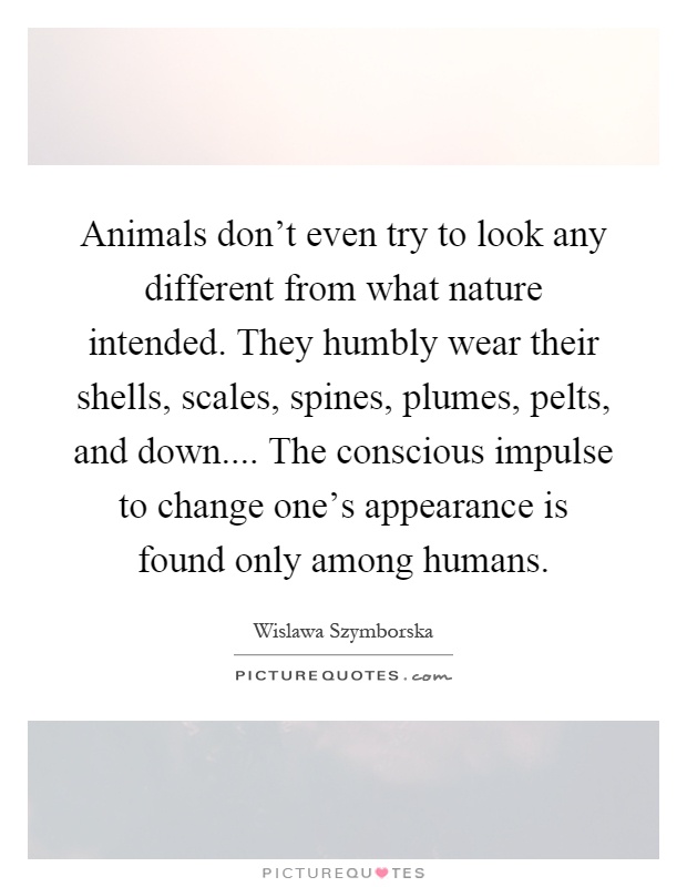 Animals don't even try to look any different from what nature intended. They humbly wear their shells, scales, spines, plumes, pelts, and down.... The conscious impulse to change one's appearance is found only among humans Picture Quote #1