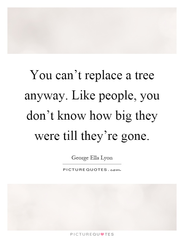 You can't replace a tree anyway. Like people, you don't know how big they were till they're gone Picture Quote #1