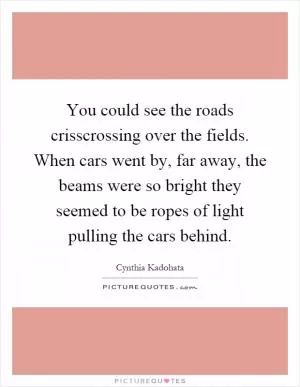 You could see the roads crisscrossing over the fields. When cars went by, far away, the beams were so bright they seemed to be ropes of light pulling the cars behind Picture Quote #1
