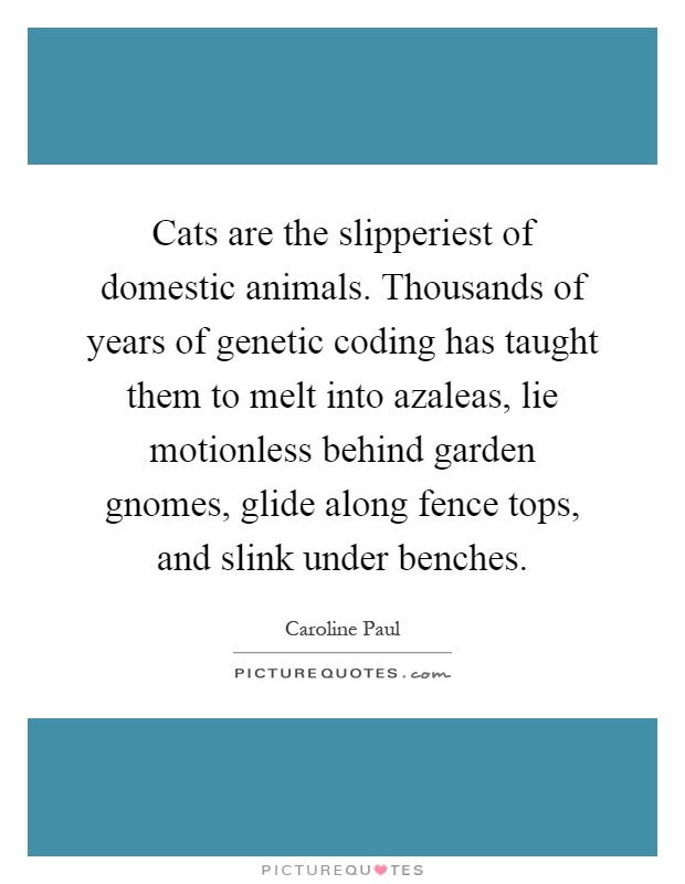 Cats are the slipperiest of domestic animals. Thousands of years of genetic coding has taught them to melt into azaleas, lie motionless behind garden gnomes, glide along fence tops, and slink under benches Picture Quote #1