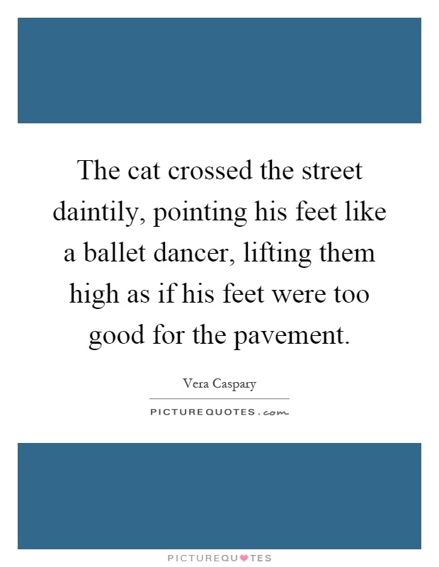 The cat crossed the street daintily, pointing his feet like a ballet dancer, lifting them high as if his feet were too good for the pavement Picture Quote #1