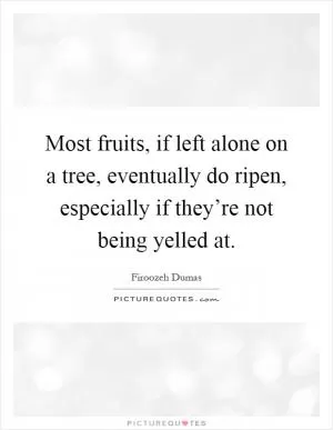Most fruits, if left alone on a tree, eventually do ripen, especially if they’re not being yelled at Picture Quote #1