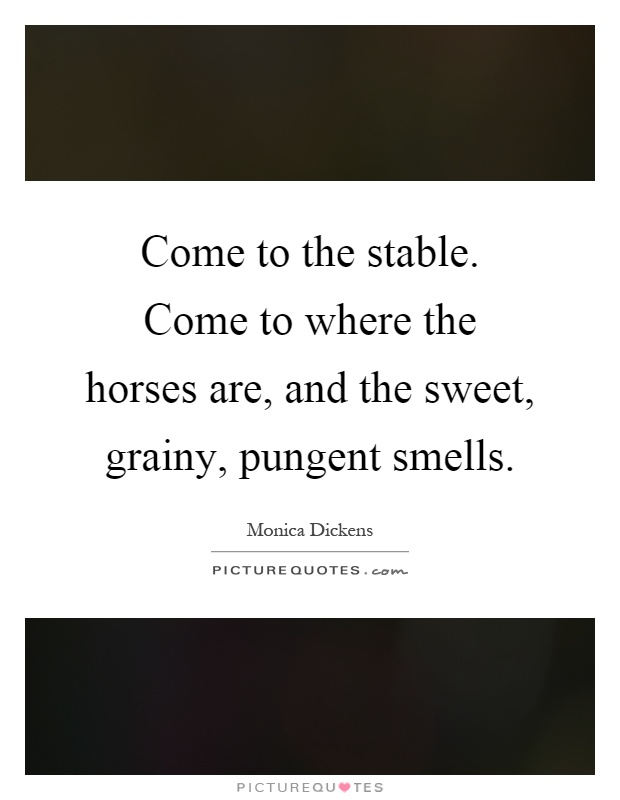 Come to the stable. Come to where the horses are, and the sweet, grainy, pungent smells Picture Quote #1
