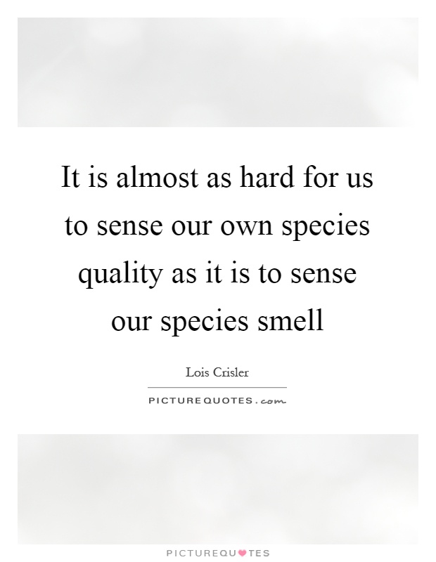 It is almost as hard for us to sense our own species quality as it is to sense our species smell Picture Quote #1
