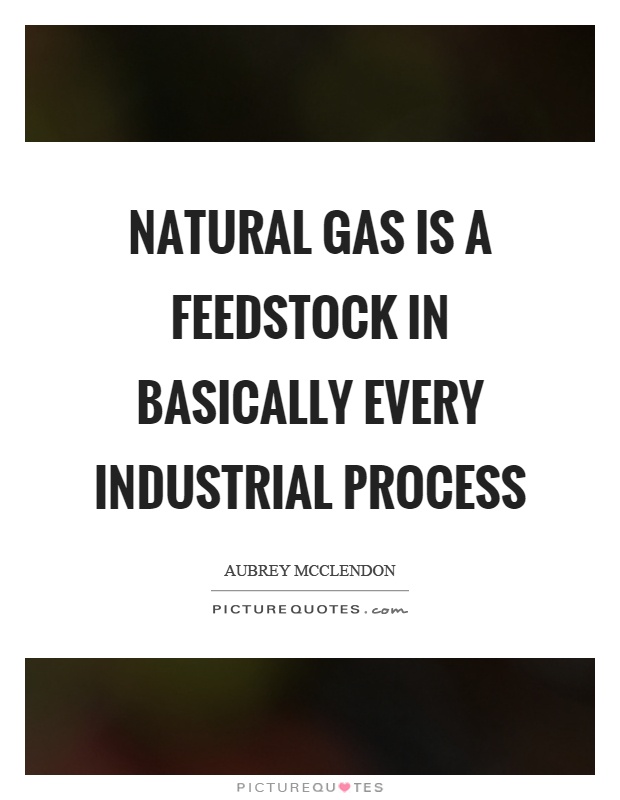 Natural gas is a feedstock in basically every industrial process Picture Quote #1
