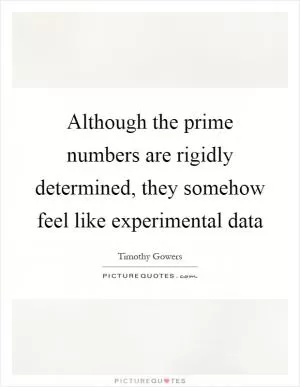 Although the prime numbers are rigidly determined, they somehow feel like experimental data Picture Quote #1