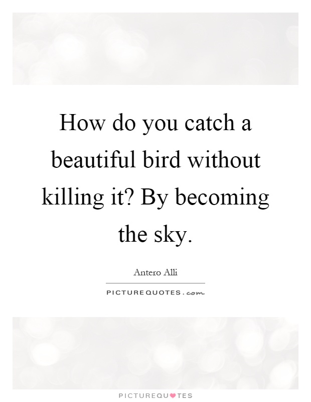 How do you catch a beautiful bird without killing it? By becoming the sky Picture Quote #1