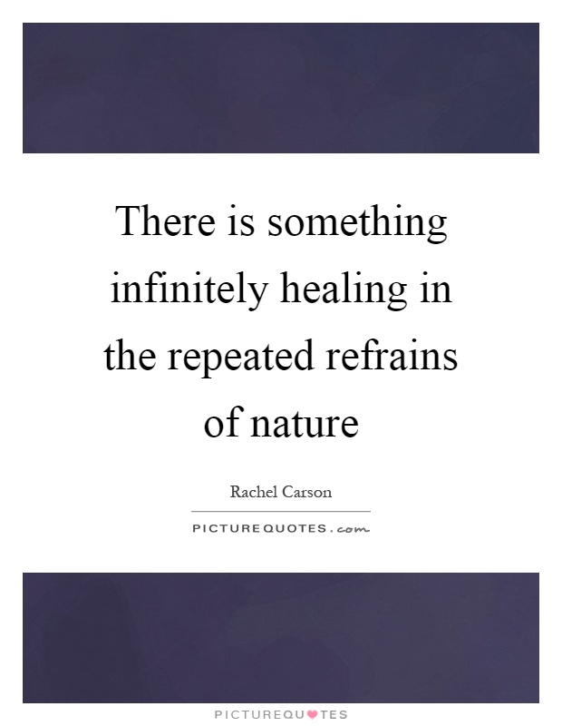 There is something infinitely healing in the repeated refrains of nature Picture Quote #1