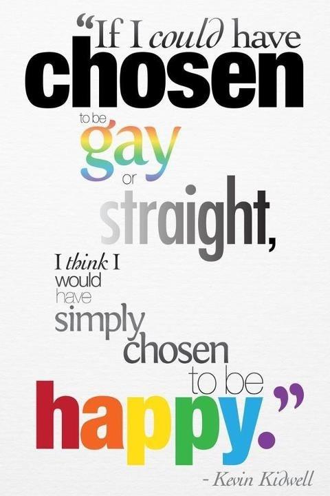 If I could have chosen to be gay or straight, I think I would have simply chosen to be happy Picture Quote #1