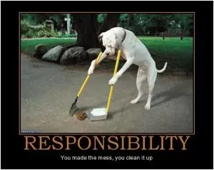 Responsibility. You made the mess, you clean it up Picture Quote #1