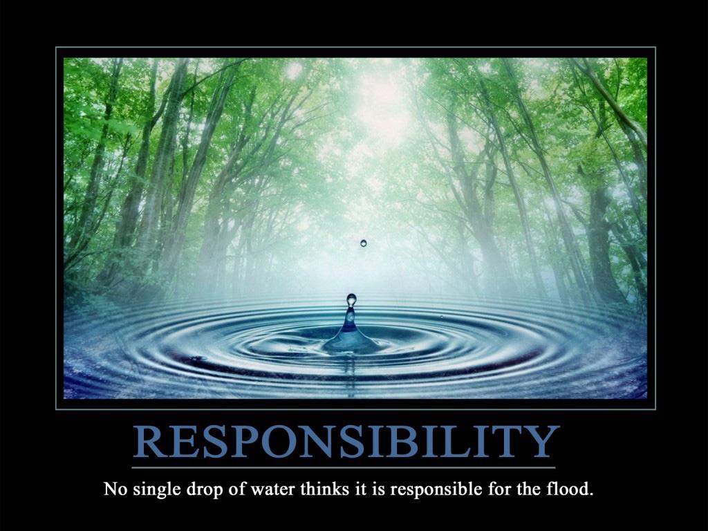 Responsibility. No single drop of water thinks it is responsible for the flood Picture Quote #1