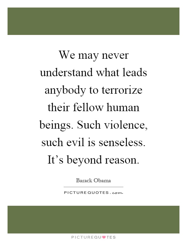 We may never understand what leads anybody to terrorize their fellow human beings. Such violence, such evil is senseless. It's beyond reason Picture Quote #1