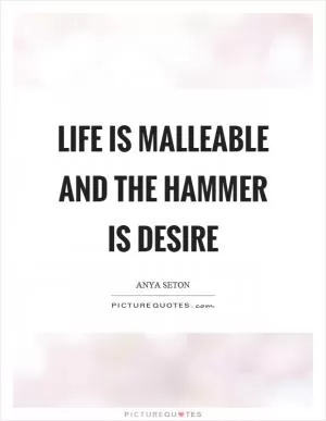 Life is malleable and the hammer is desire Picture Quote #1