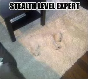 Stealth level expert Picture Quote #1