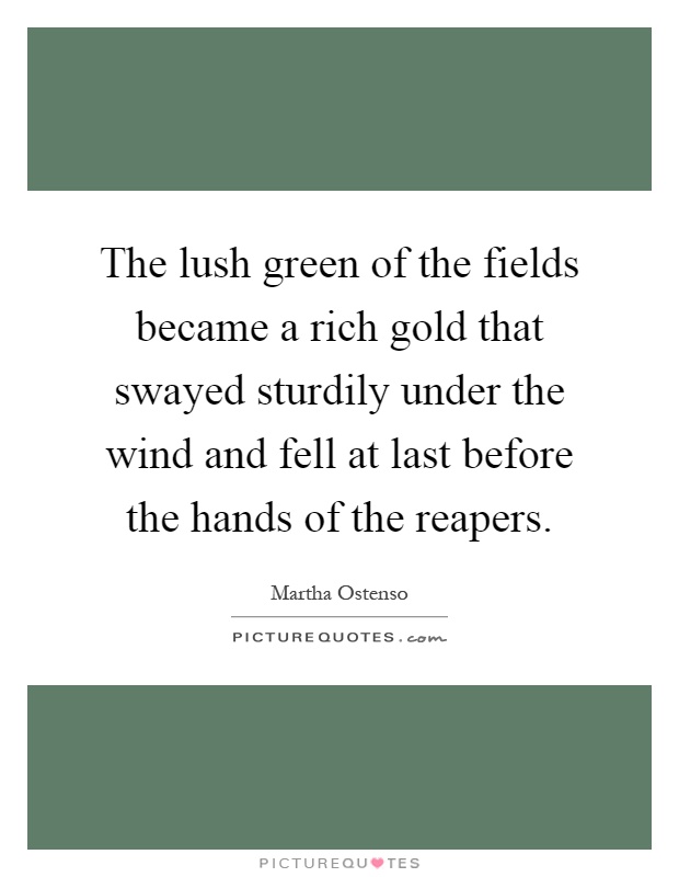 The lush green of the fields became a rich gold that swayed sturdily under the wind and fell at last before the hands of the reapers Picture Quote #1