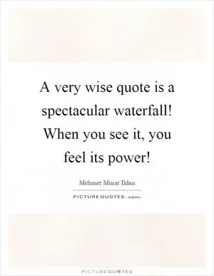 A very wise quote is a spectacular waterfall! When you see it, you feel its power! Picture Quote #1