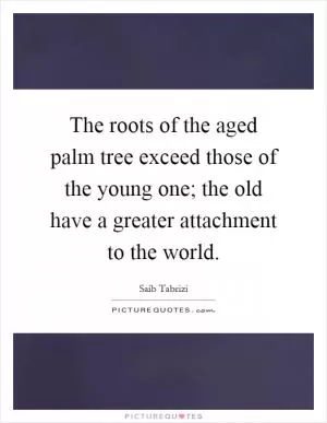 The roots of the aged palm tree exceed those of the young one; the old have a greater attachment to the world Picture Quote #1