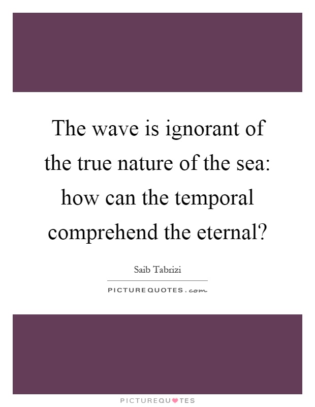 The wave is ignorant of the true nature of the sea: how can the temporal comprehend the eternal? Picture Quote #1