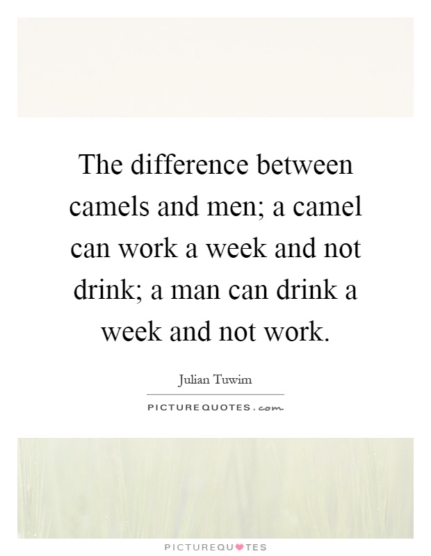 The difference between camels and men; a camel can work a week and not drink; a man can drink a week and not work Picture Quote #1