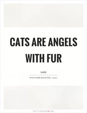 Cats are angels with fur Picture Quote #1