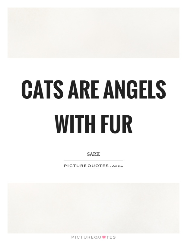 Cats are angels with fur Picture Quote #1