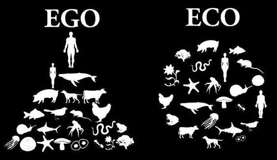 Ego. Eco Picture Quote #1