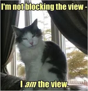 I’m not blocking the view, I am the view Picture Quote #1