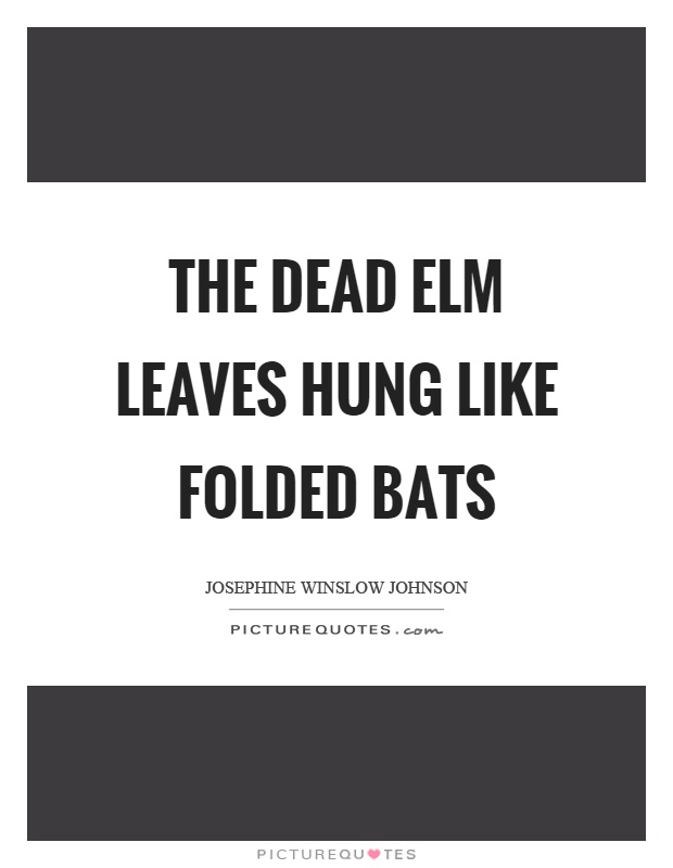 The dead elm leaves hung like folded bats Picture Quote #1
