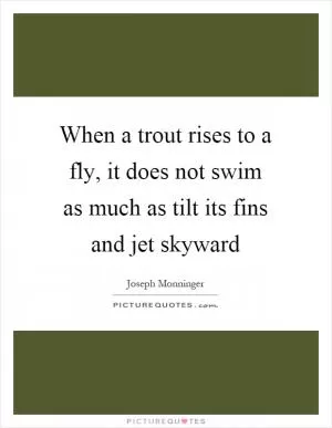When a trout rises to a fly, it does not swim as much as tilt its fins and jet skyward Picture Quote #1