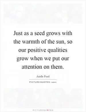 Just as a seed grows with the warmth of the sun, so our positive qualities grow when we put our attention on them Picture Quote #1