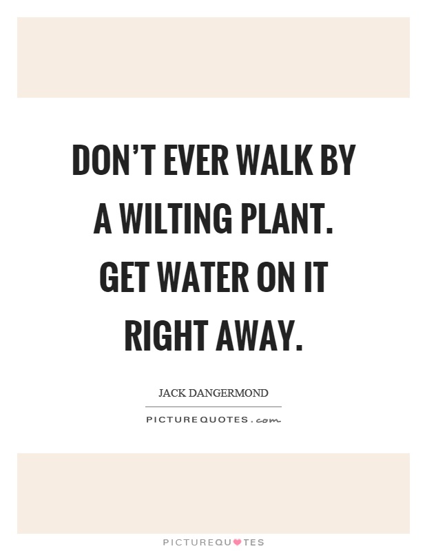 Don't ever walk by a wilting plant. Get water on it right away Picture Quote #1