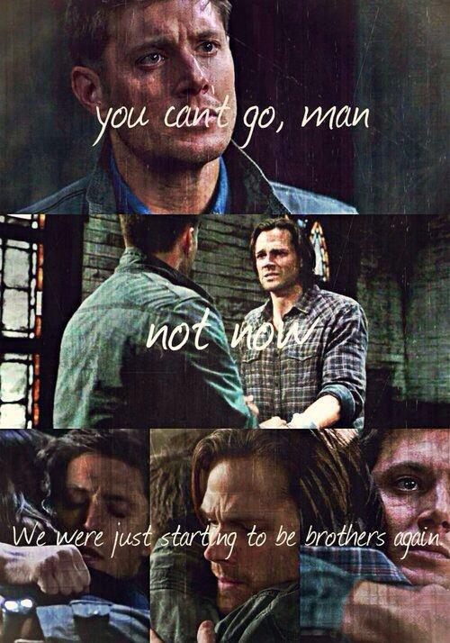 You can’t go, man. Not now. We were just starting to be brothers again Picture Quote #1