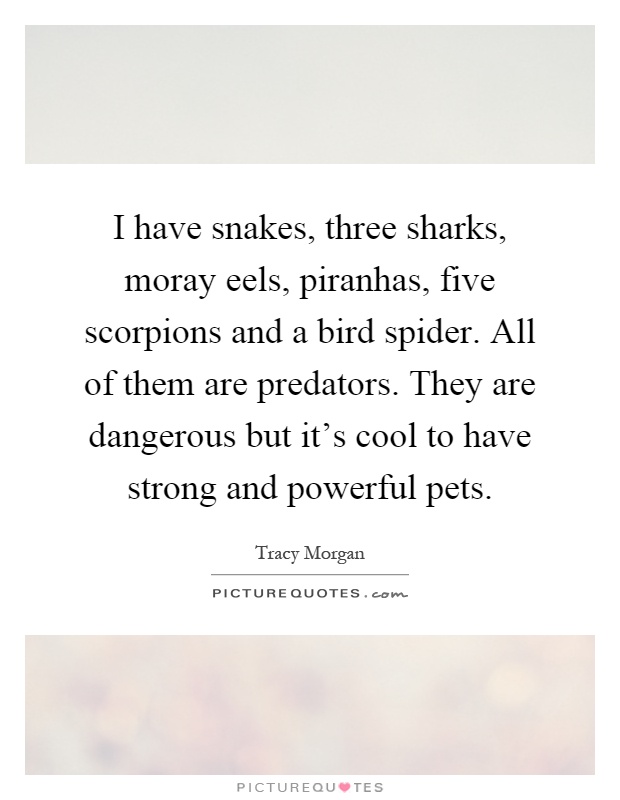 I have snakes, three sharks, moray eels, piranhas, five scorpions and a bird spider. All of them are predators. They are dangerous but it's cool to have strong and powerful pets Picture Quote #1