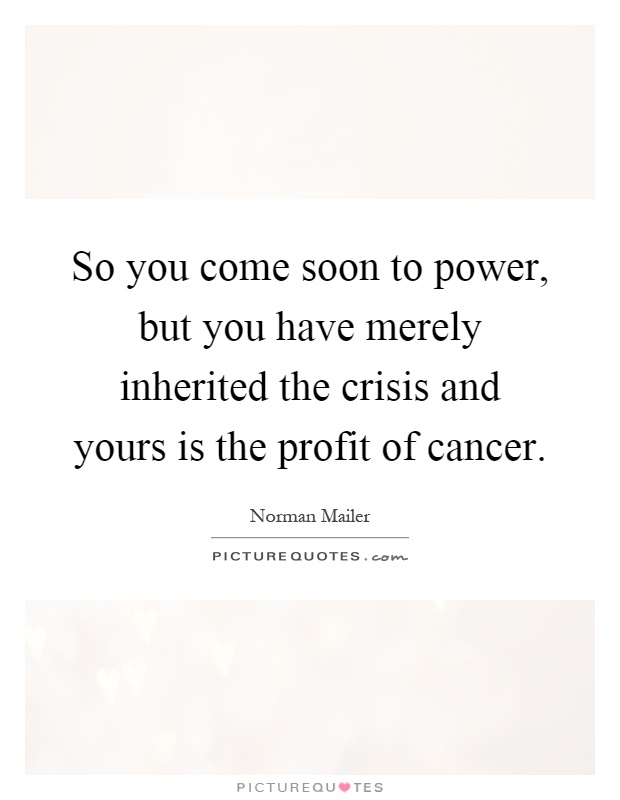 So you come soon to power, but you have merely inherited the crisis and yours is the profit of cancer Picture Quote #1
