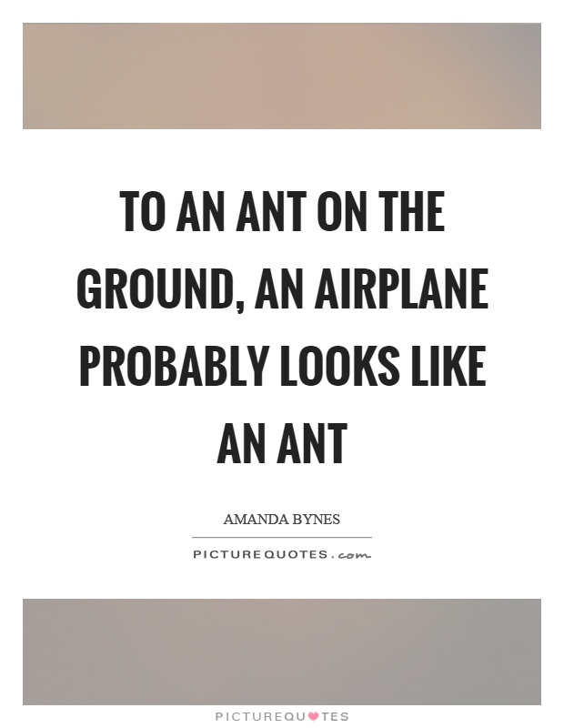 To an ant on the ground, an airplane probably looks like an ant Picture Quote #1