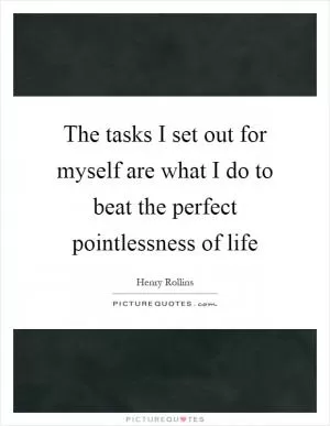 The tasks I set out for myself are what I do to beat the perfect pointlessness of life Picture Quote #1
