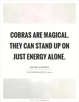 Cobras are magical. They can stand up on just energy alone Picture Quote #1