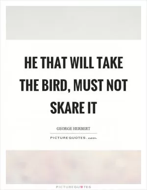 He that will take the bird, must not skare it Picture Quote #1