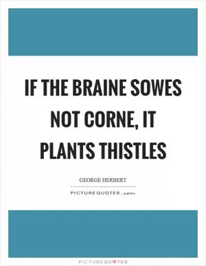 If the braine sowes not corne, it plants thistles Picture Quote #1