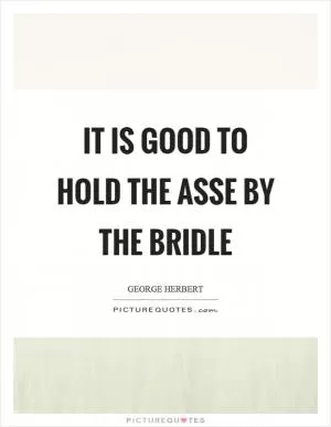 It is good to hold the asse by the bridle Picture Quote #1