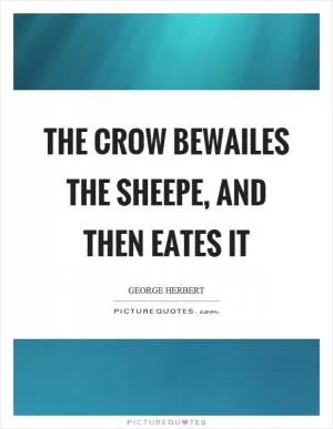 The crow bewailes the sheepe, and then eates it Picture Quote #1
