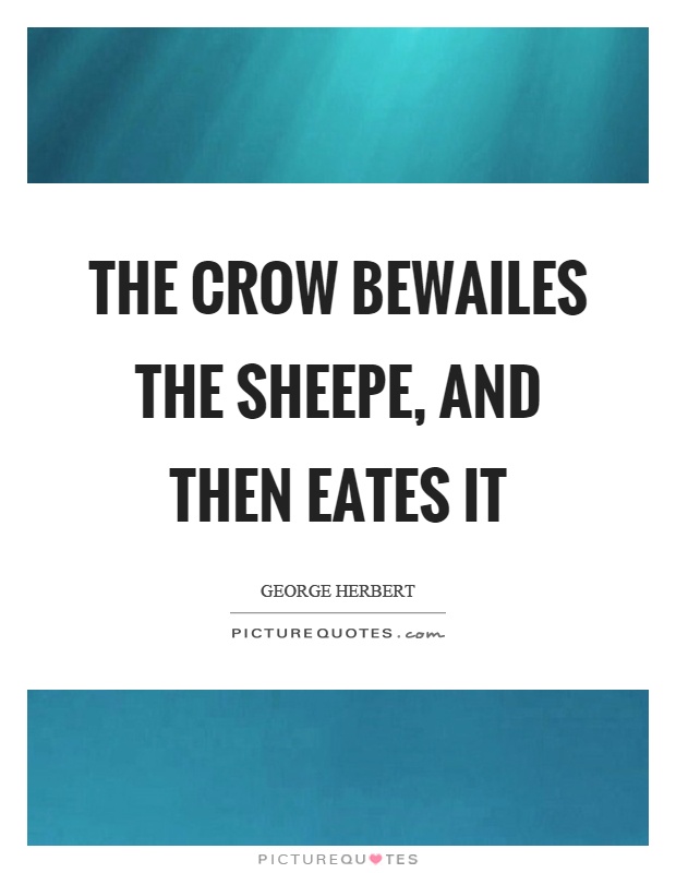 The crow bewailes the sheepe, and then eates it Picture Quote #1