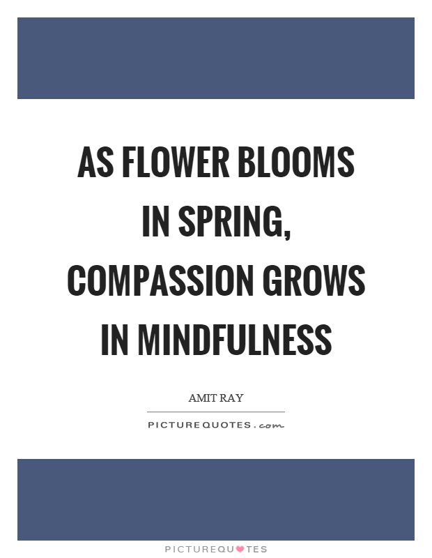 As flower blooms in spring, compassion grows in mindfulness Picture Quote #1