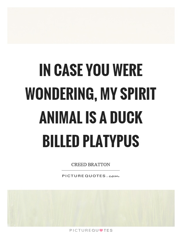 In case you were wondering, my spirit animal is a duck billed platypus Picture Quote #1