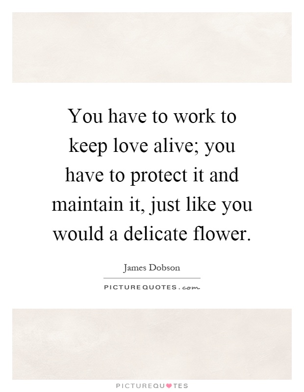 You have to work to keep love alive; you have to protect it and maintain it, just like you would a delicate flower Picture Quote #1