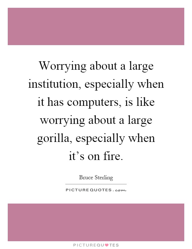 Worrying about a large institution, especially when it has computers, is like worrying about a large gorilla, especially when it's on fire Picture Quote #1