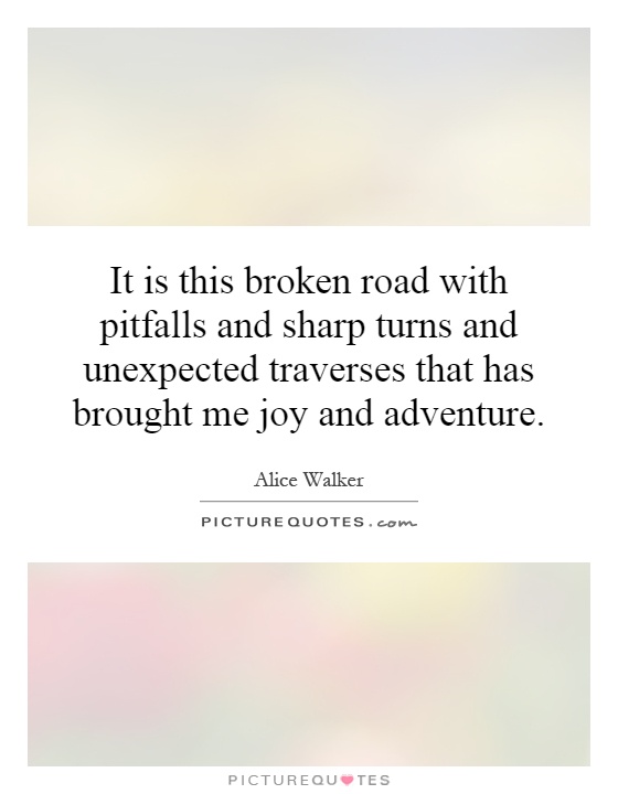 It is this broken road with pitfalls and sharp turns and unexpected traverses that has brought me joy and adventure Picture Quote #1