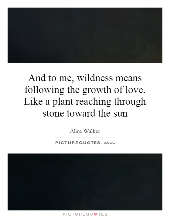 And to me, wildness means following the growth of love. Like a plant reaching through stone toward the sun Picture Quote #1