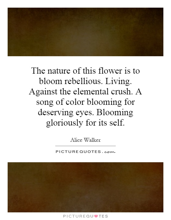 The nature of this flower is to bloom rebellious. Living. Against the elemental crush. A song of color blooming for deserving eyes. Blooming gloriously for its self Picture Quote #1